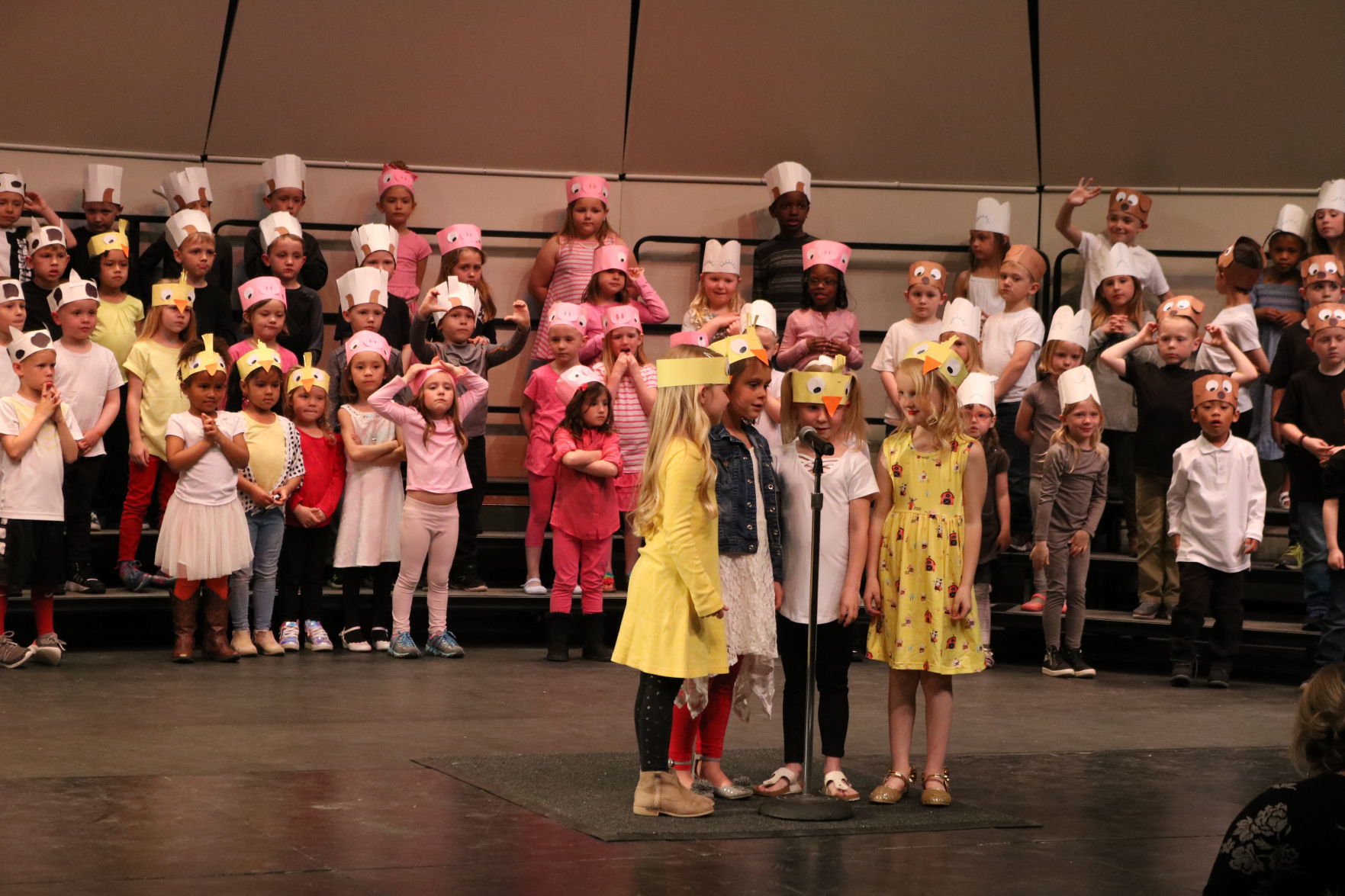 K chickens kids